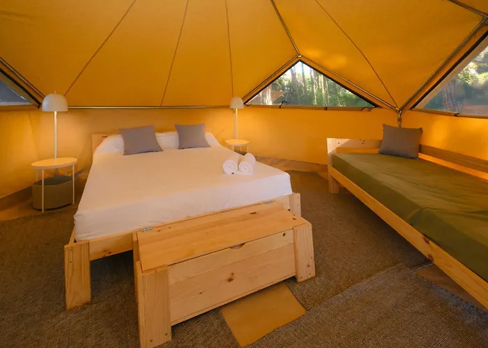 Campsite Park Organya